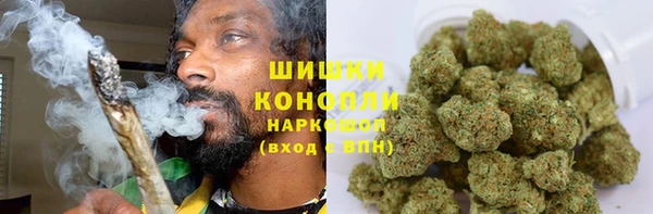 гидра Алапаевск