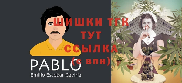 ГАЛЛЮЦИНОГЕННЫЕ ГРИБЫ Медвежьегорск