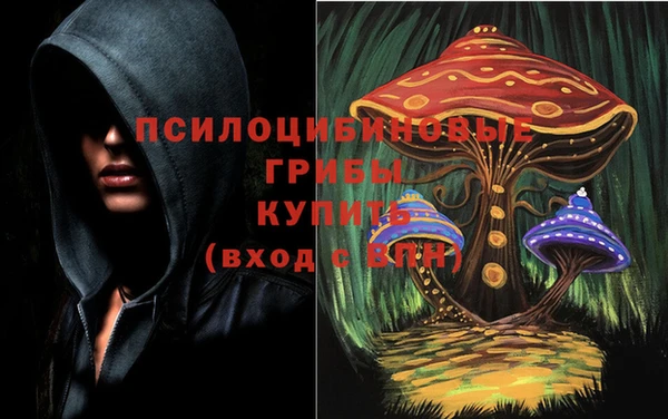 ГАЛЛЮЦИНОГЕННЫЕ ГРИБЫ Медвежьегорск