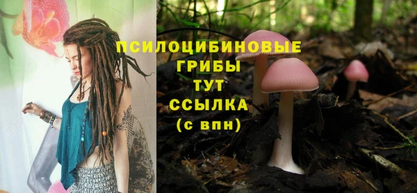 spice Медногорск