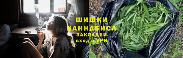 spice Медногорск