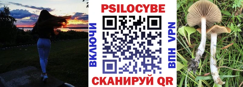 Псилоцибиновые грибы MAGIC MUSHROOMS  сайты даркнета как зайти  Шацк 